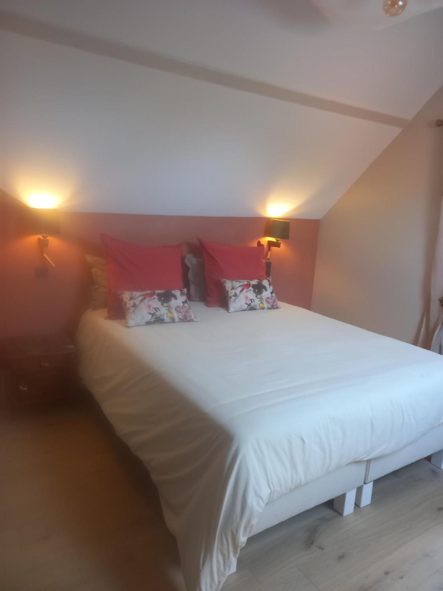 Les Palissieres - Chambres D'Hotes Mortagne-sur-Gironde Ngoại thất bức ảnh